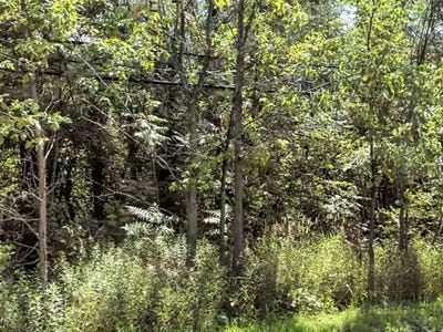 /international/ca/rue-louis-hebert-mascouche-qc-j7k0r5-ca-mascouche-quebec-310100785494/?lang=zh-tw