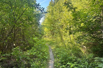 /international/ca/rue-de-la-seigneurie-beaupre-qc-g0a1e0-ca-beaupre-quebec-310101485745/?lang=de