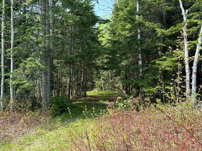 /international/ca/ch-des-trois-lacs-saint-narcisse-de-rimouski-qc-g0k1s0-ca-saint-narcisse-de-rimouski-quebec-310098793462/