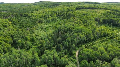 /international/ca/rue-principale-saint-honore-de-temiscouata-quebec-310103805574/