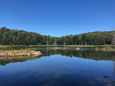 /international/ca/ch-du-lac-gustave-wentworth-nord-quebec-310106992249/