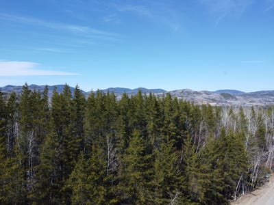 /international/ca/ch-du-friche-clermont-quebec-310099416364/