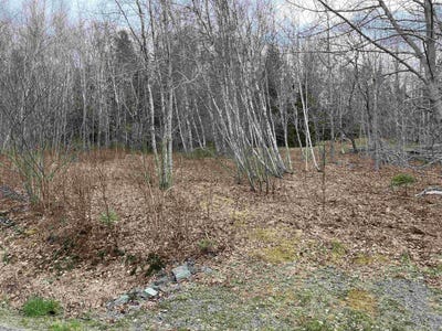 /international/ca/sarty-road-lot-2-camperdown-nova-scotia-310106398998/