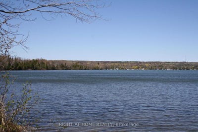 /international/ca/1912-south-orr-lake-road-springwater-ontario-310106967294/
