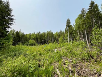 /international/ca/chemin-de-la-clairiere-alma-qc-g8b5v3-ca-alma-quebec-310101206078/?lang=en