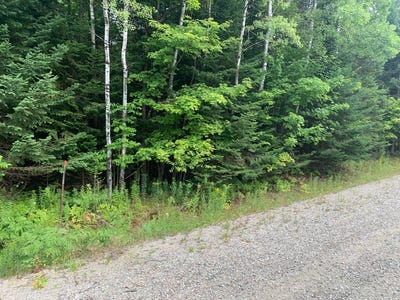 /international/ca/rue-theophile-ouimet-lac-des-ecorces-qc-j0w1h0-ca-lac-des-ecorces-quebec-310101495321/?lang=de