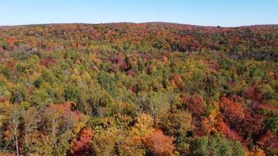 /international/ca/ch-des-alouettes-nominingue-quebec-310119892911/