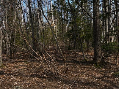/international/ca/rue-alex-rawdon-quebec-310107703509/