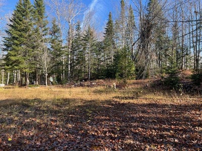/international/ca/309-6e-rang-sainte-francoise-quebec-310103459464/