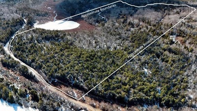 /international/ca/hamilton-road-lot-3-pleasant-valley-nova-scotia-310106481297/
