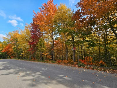 /international/ca/rue-paulsen-sainte-agathe-des-monts-quebec-310110340059/