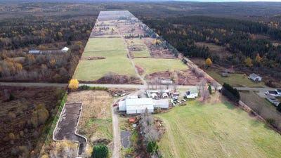 /international/ca/641z-3e-rang-saint-neree-de-bellechasse-quebec-310107410678/