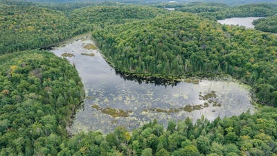 /international/ca/rue-du-lac-racette-sainte-marguerite-du-lac-masson-quebec-310097949113/