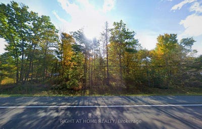 /international/ca/00-hwy-7-highway-marmora-and-lake-ontario-310107370825/