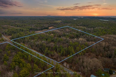 /international/ca/261-highway-559-n-a-carling-ontario-310100536836/