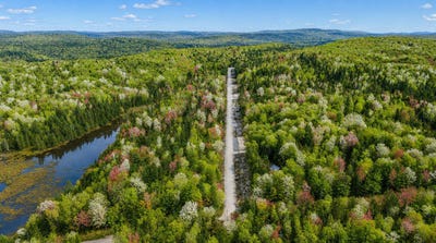 /international/ca/rue-des-ecorces-saint-alphonse-rodriguez-quebec-310104040234/
