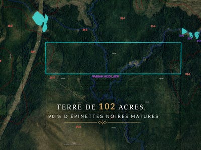 /international/ca/val-d-or-quebec-310108244790/