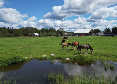 /international/ca/10-route-a-peton-saint-pamphile-quebec-310120786188/