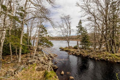 /international/ca/lot-2021-butler-road-murphy-lake-nova-scotia-310105989395/
