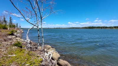 /international/ca/367-janvrin-harbour-rd-richmond-nova-scotia-310104475241/
