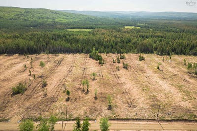 /international/ca/alpine-ridge-road-lot-4-mabou-nova-scotia-310098580463/