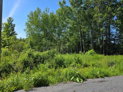 /international/ca/ch-du-domaine-bernier-alma-quebec-310108270229/