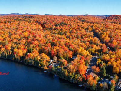/international/ca/ch-du-lac-boeuf-saint-donat-quebec-310109176244/