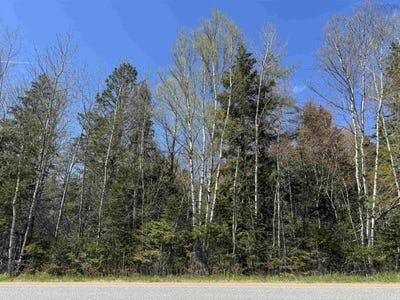 /international/ca/4-highway-509-lot-lower-maccan-ns-310107756743/