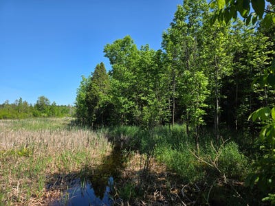 /international/ca/ch-du-domaine-bernier-alma-quebec-310108270225/