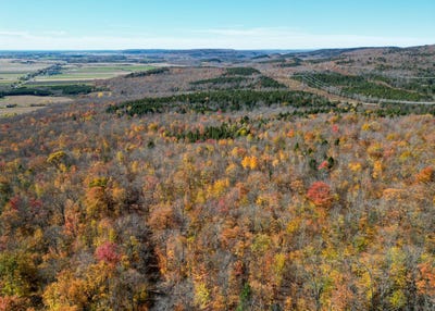 /international/ca/rg-de-la-riviere-blanche-saint-alban-quebec-310103700763/
