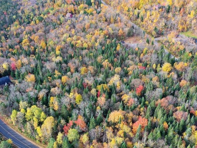 /international/ca/ch-adelard-lac-superieur-quebec-310120601699/