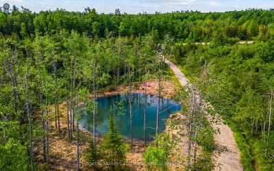/international/ca/429571-8th-b-concession-grey-highlands-ontario-310107018704/