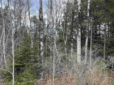 /international/ca/n-200-sarty-road-hebbs-cross-nova-scotia-310106400972/