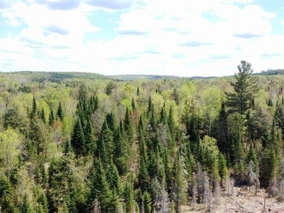/international/ca/2-ch-du-rang-11-litchfield-quebec-310120568311/