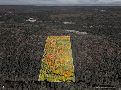 /international/ca/589-1er-rang-saint-paul-de-montminy-quebec-310120489884/