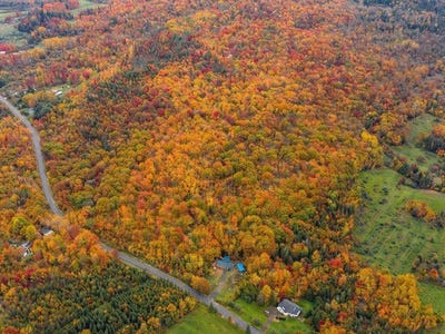 /international/ca/3700-rg-ste-anne-saint-norbert-quebec-310106410698/