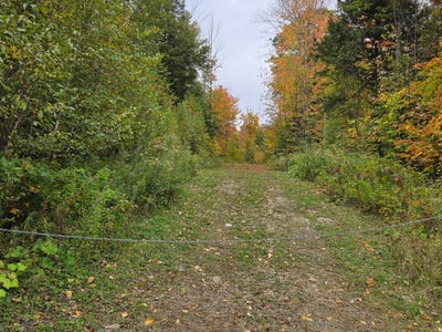 /international/ca/181-mtee-rodgers-lachute-quebec-310110418498/