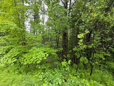 /international/ca/rue-du-zephyr-orford-quebec-310108968277/