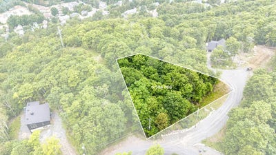 /international/ca/rue-des-boises-de-la-cote-dor-mont-blanc-quebec-310100539883/