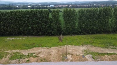 /international/ca/14e-rue-ferme-neuve-qc-j0w1c0-ca-ferme-neuve-quebec-310101226482/?lang=zh-cn