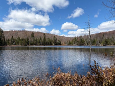 /international/ca/ch-du-lac-gustave-wentworth-nord-quebec-310108044520/