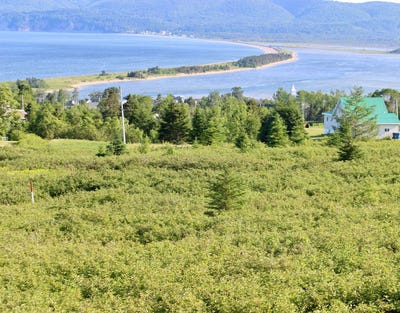 /international/ca/1-route-blondin-perce-qc-g0c1a0-ca-perce-quebec-310100638808/