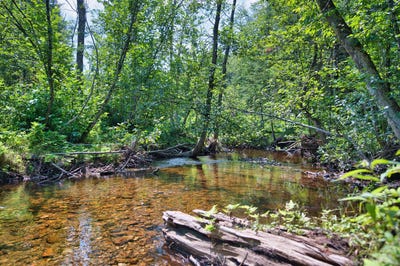 /international/ca/1507-route-323-lac-des-plages-quebec-310093931496/