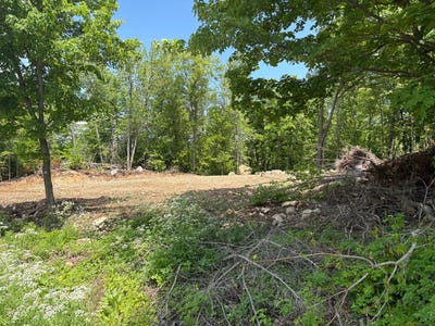 /international/ca/rue-carole-saint-gabriel-de-brandon-quebec-310108922047/