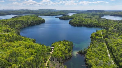 /international/ca/ch-des-bouleaux-gracefield-quebec-310099561005/?lang=it