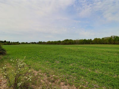 /international/ca/10-ch-du-quai-la-motte-quebec-310107587597/