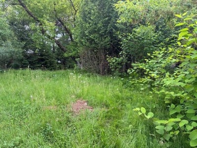 /international/ca/201-rue-ste-marguerite-saint-alexis-des-monts-qc-j0k1v0-ca-saint-alexis-des-monts-quebec-310100291230/