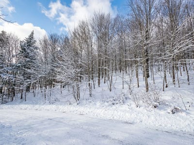 /international/ca/rue-de-chandolin-sainte-agathe-des-monts-quebec-310098801067/