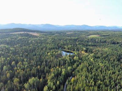 /international/ca/1z-6e-rang-saint-hilarion-quebec-310102727201/