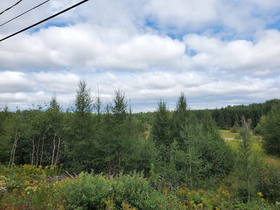 /international/ca/route-311-n-lac-des-ecorces-quebec-310120631048/
